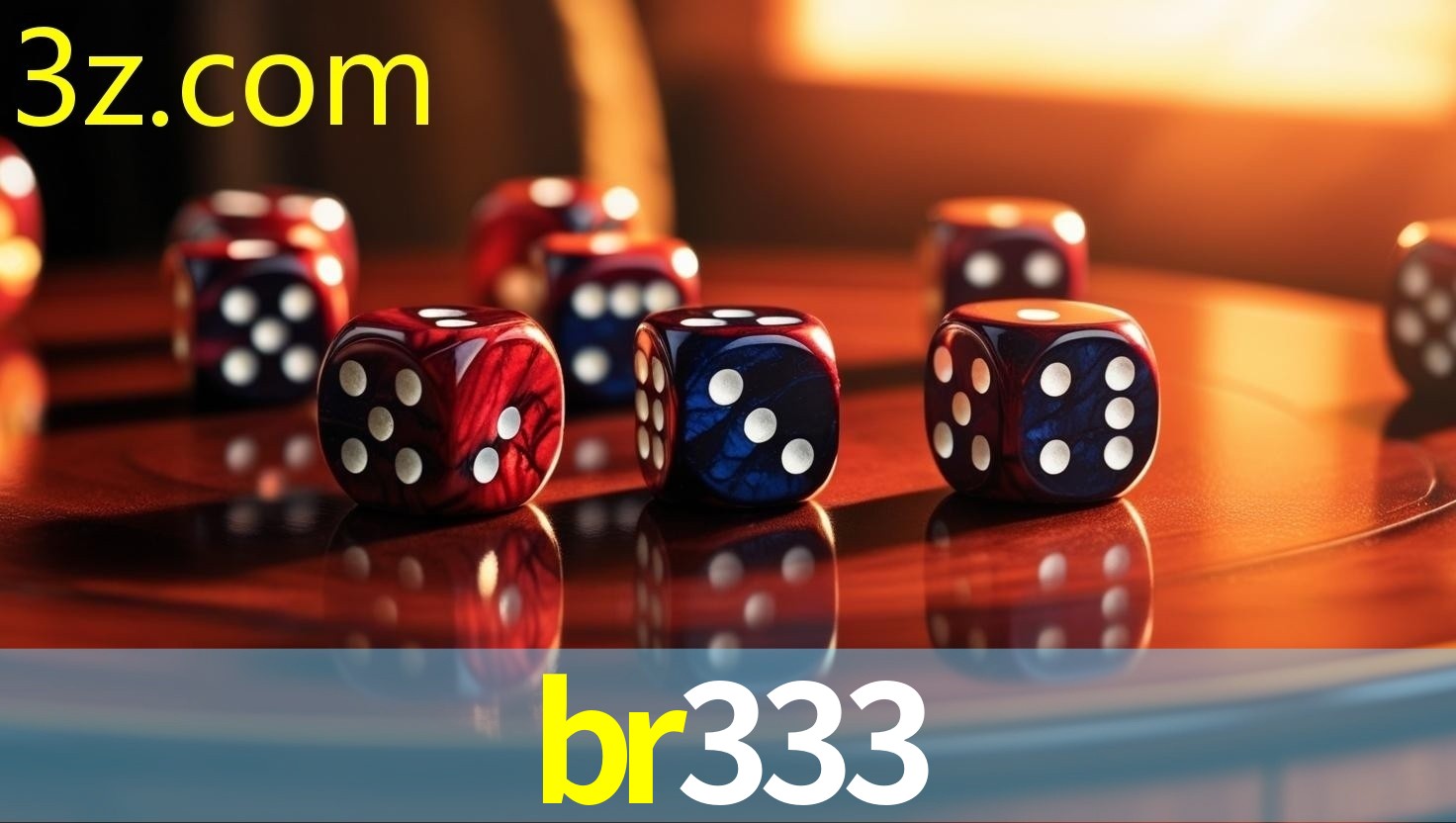 br333